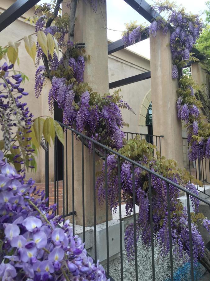 Ca'Bert Villa Dei Glicini Castelnuovo del Garda Kültér fotó